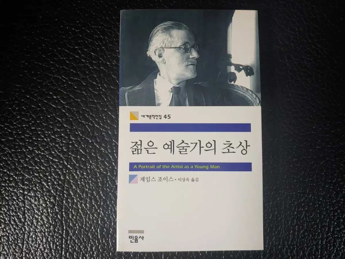 민음사. 젊은 예술가의 초상